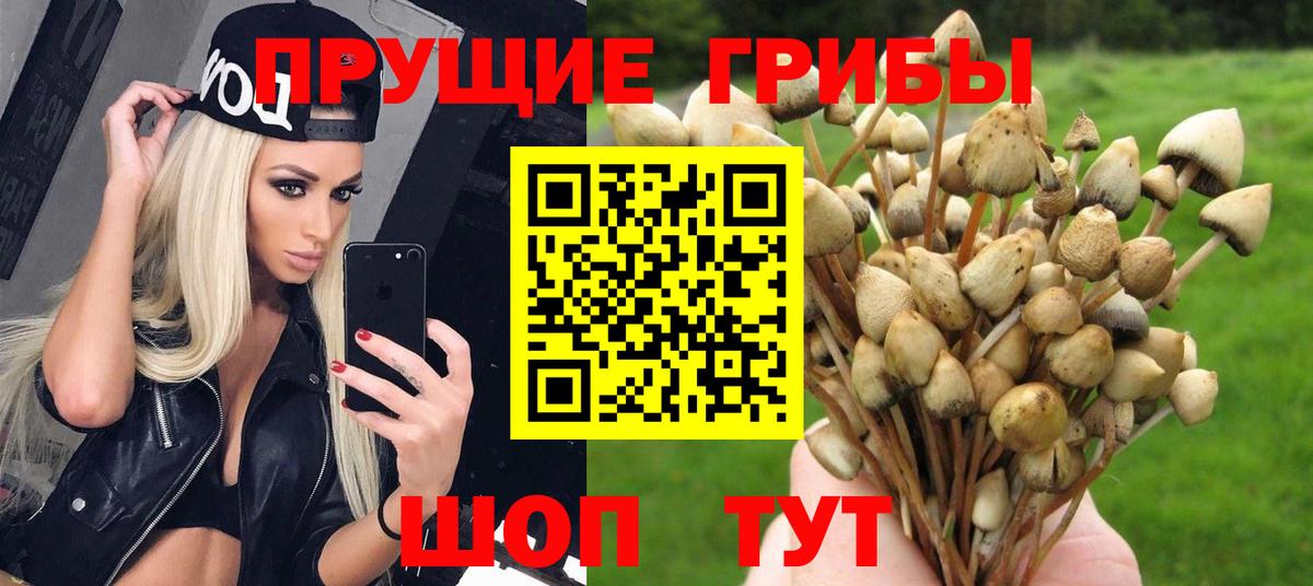 Галлюциногенные грибы Psilocybine cubensis  Галлюциногенные грибы мухоморы  Вход с VPN  Реутов 